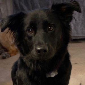 Meet your Posher, Maggie